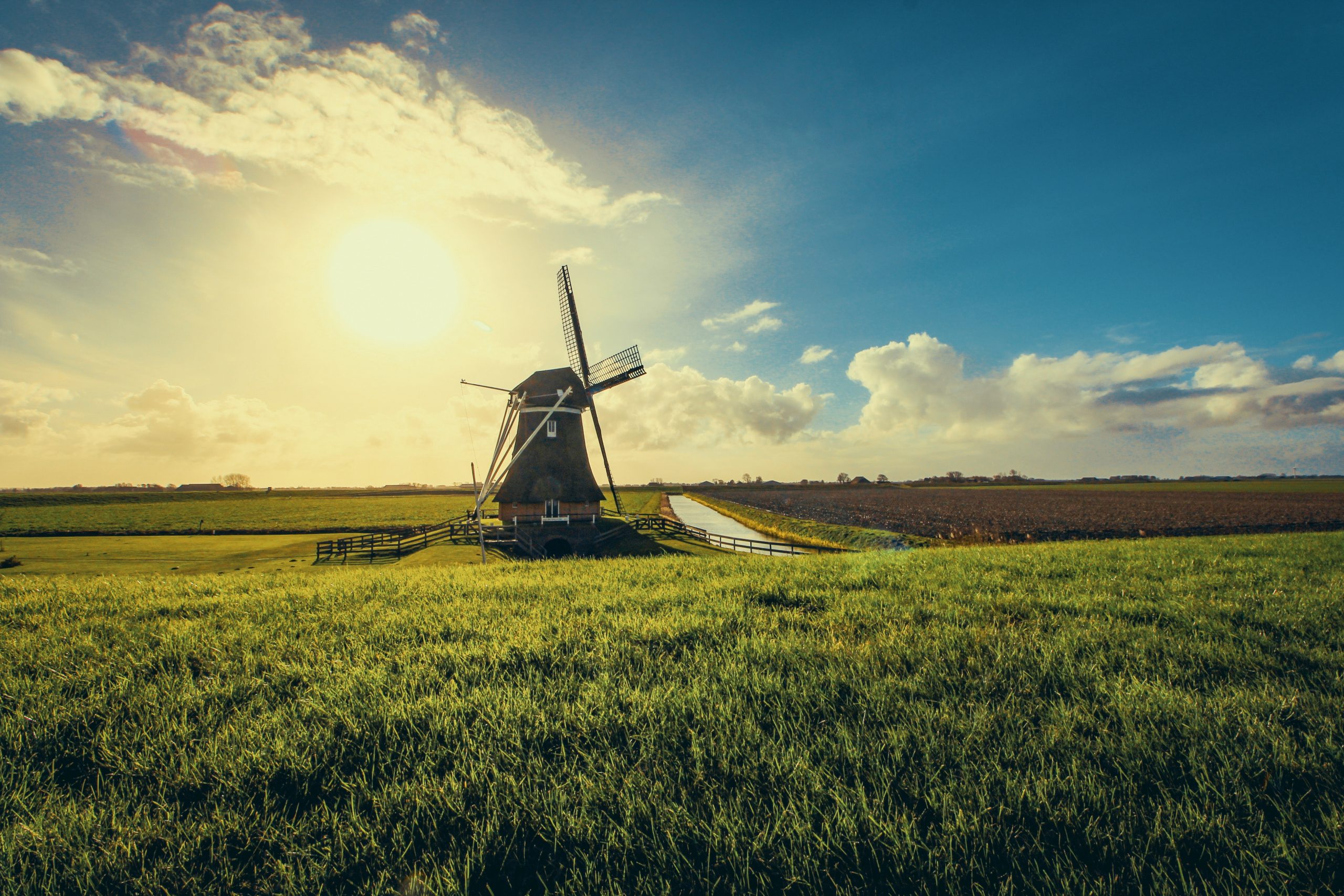 Geen dreiging van buitenlandse kopers van landbouwgrond