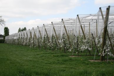 Openstelling POP3-subsidie voor jonge landbouwers in Limburg