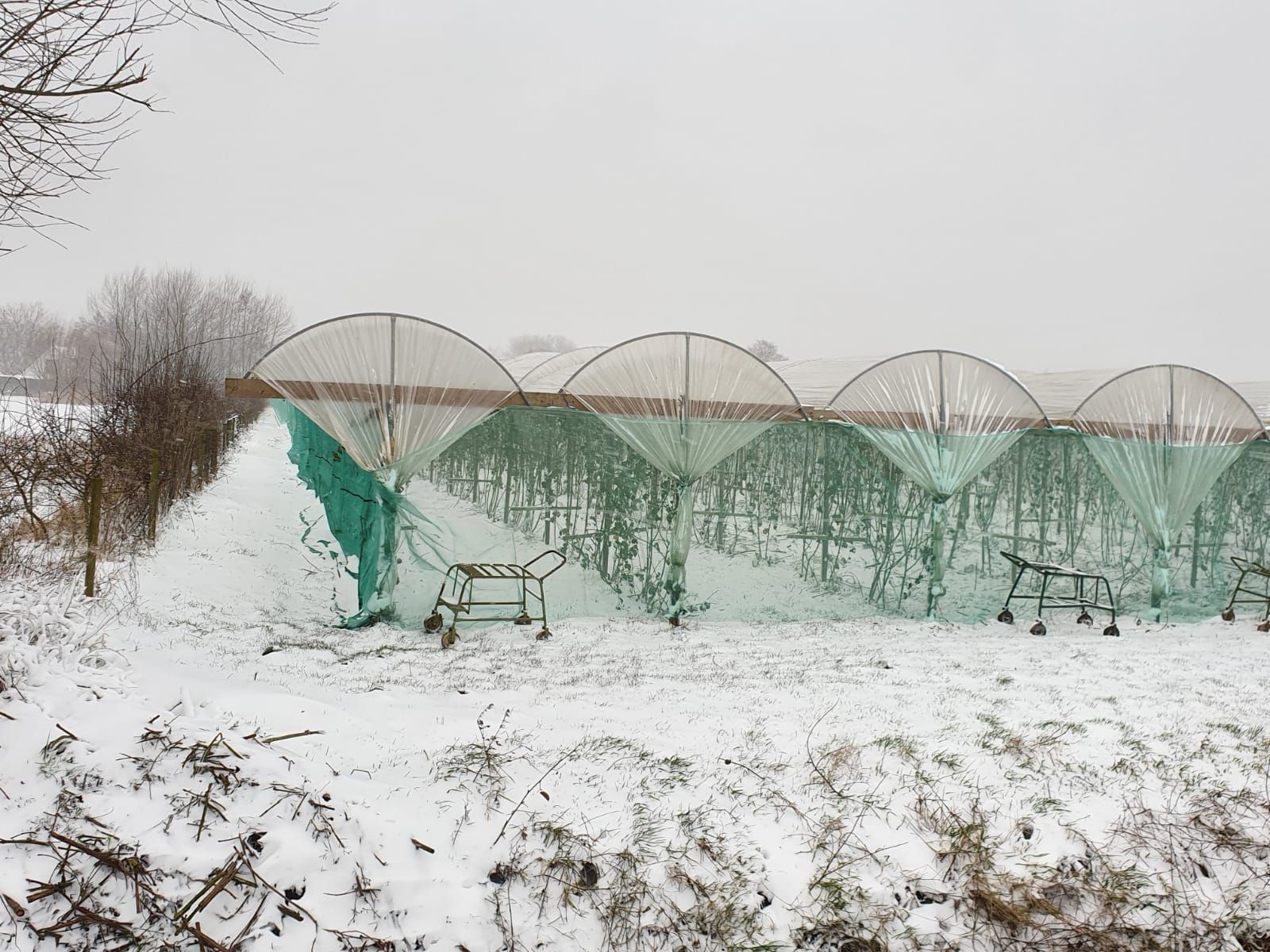 Winterkoude houdt gemoederen bezig