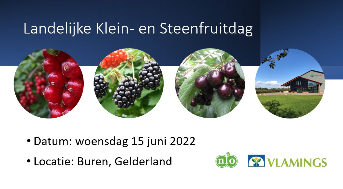 Landelijke Klein- en Steenfruitdag 2022