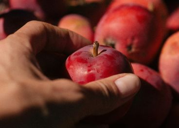 Appel onverminderd populair