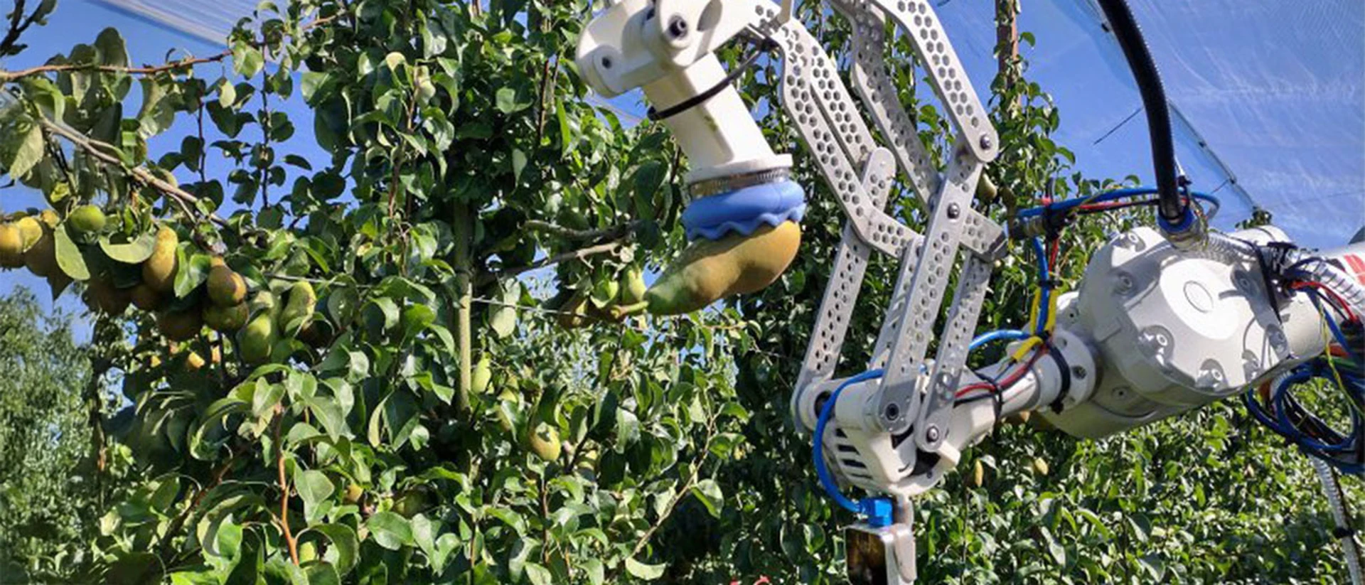 Consortiumbijeenkomst Orchard of the Future, NXTGEN Fruit, en Next Fruit 4.0