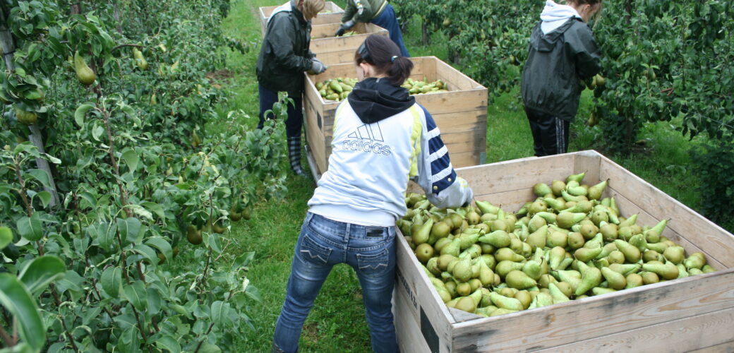 Bijeenkomst Goed Werkgeverschap op 17 december: meld je nu aan!