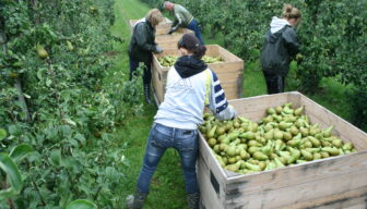 Bijeenkomst Goed Werkgeverschap op 17 december: meld je nu aan!