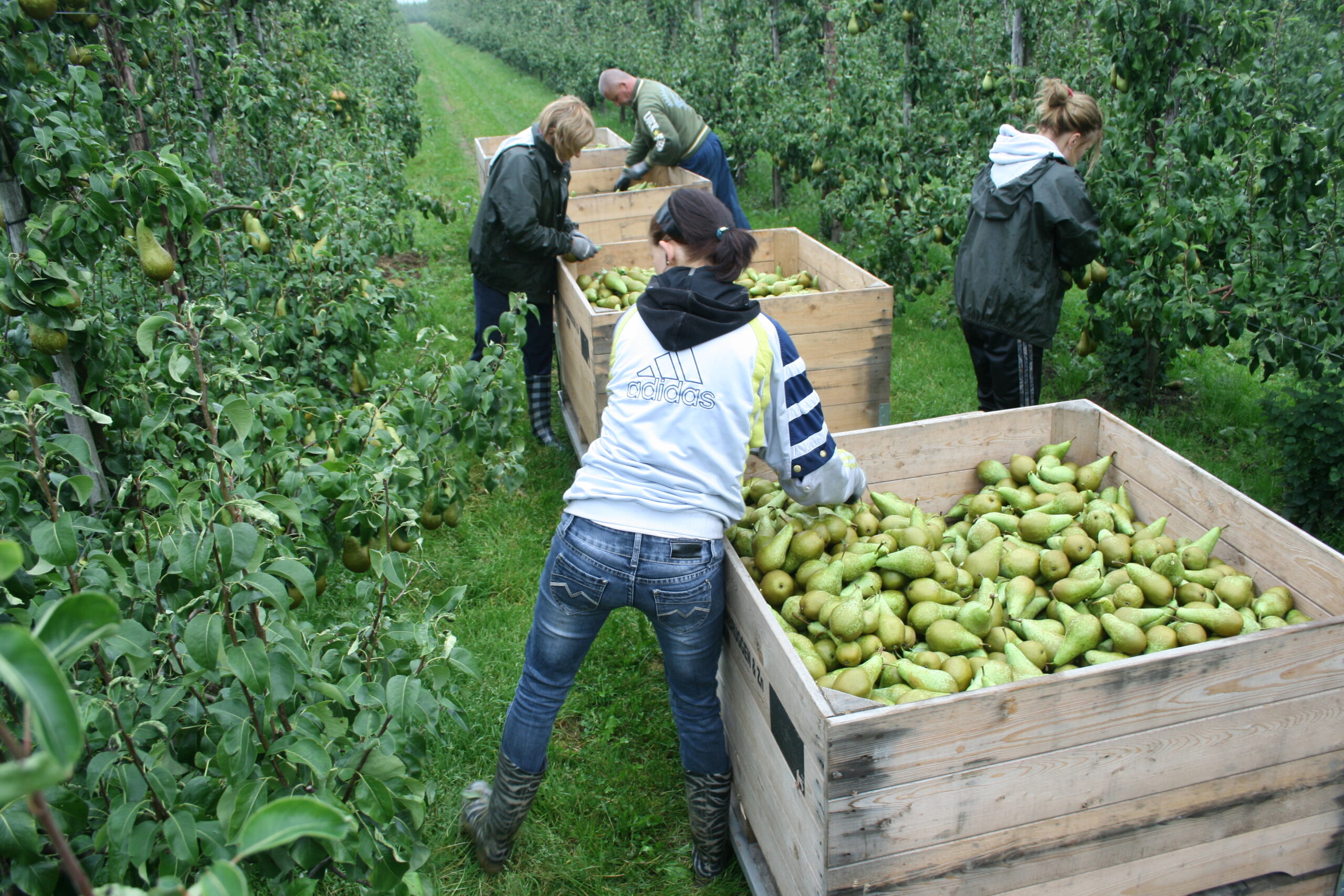 Bijeenkomst Goed Werkgeverschap op 17 december: meld je nu aan!