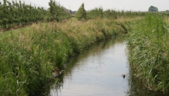 Update Provinciale Omgevingsverordening Gelderland – verkleining drinkwaterreserveringsgebieden