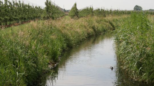 Update Provinciale Omgevingsverordening Gelderland – verkleining drinkwaterreserveringsgebieden