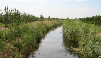 Save the Date: Dé Waterdag voor de fruitteelt!